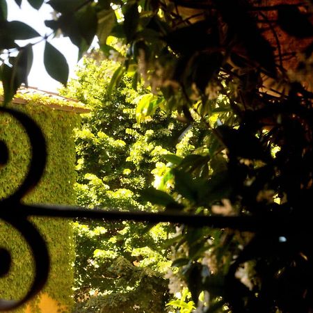 Borgo Lucignanello Bandini Villa San Giovanni d'Asso Eksteriør billede