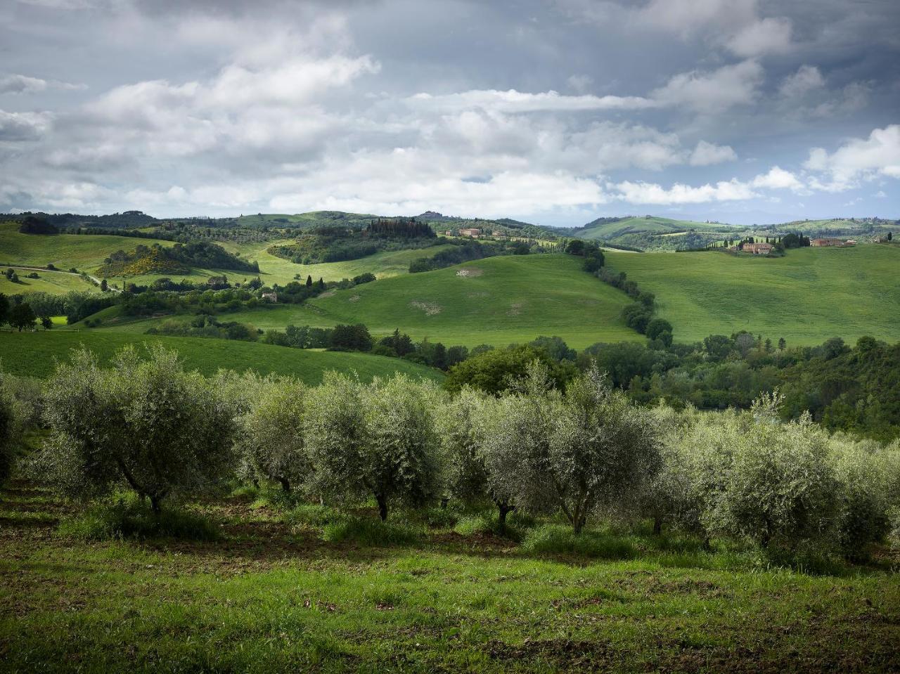 Borgo Lucignanello Bandini Villa San Giovanni d'Asso Eksteriør billede